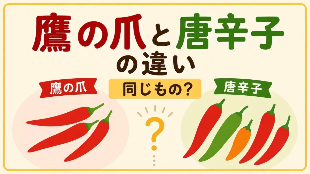 鷹の爪と唐辛子の違いをテーマに、鷹の爪と複数の唐辛子を比較して示したアイキャッチ画像