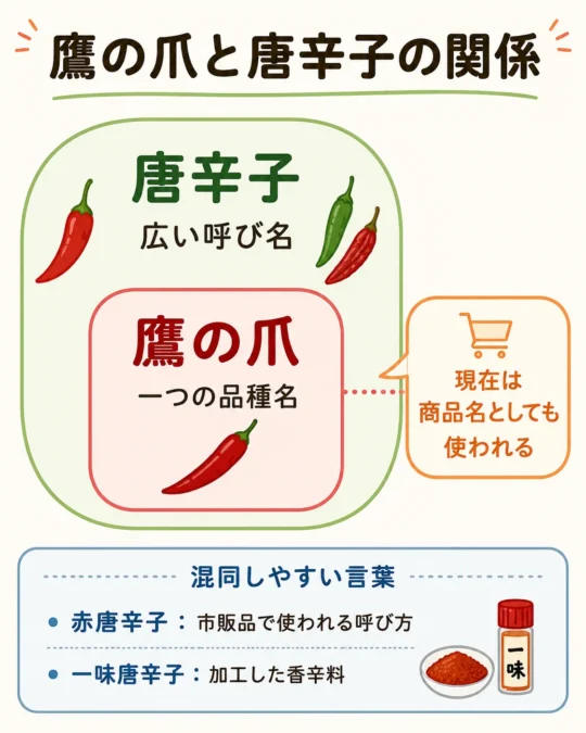 唐辛子が広い呼び名で、鷹の爪がその中の一つであり、商品名としても使われる関係図